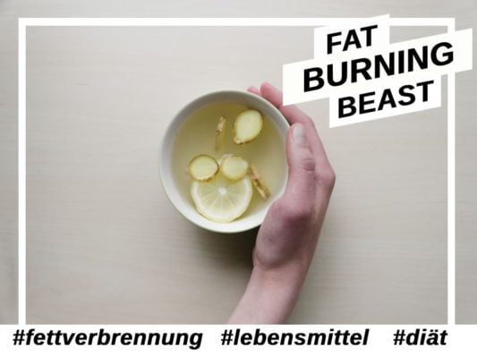 tee-fatburner-fettverbrennung