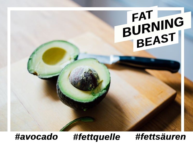 Avocado als Fatburner Lebensmittel in der Low Carb und Keto Diät.