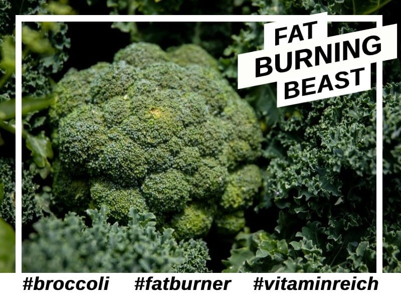 Broccoli als Fatburner Lebensmittel in der Low Carb Diät