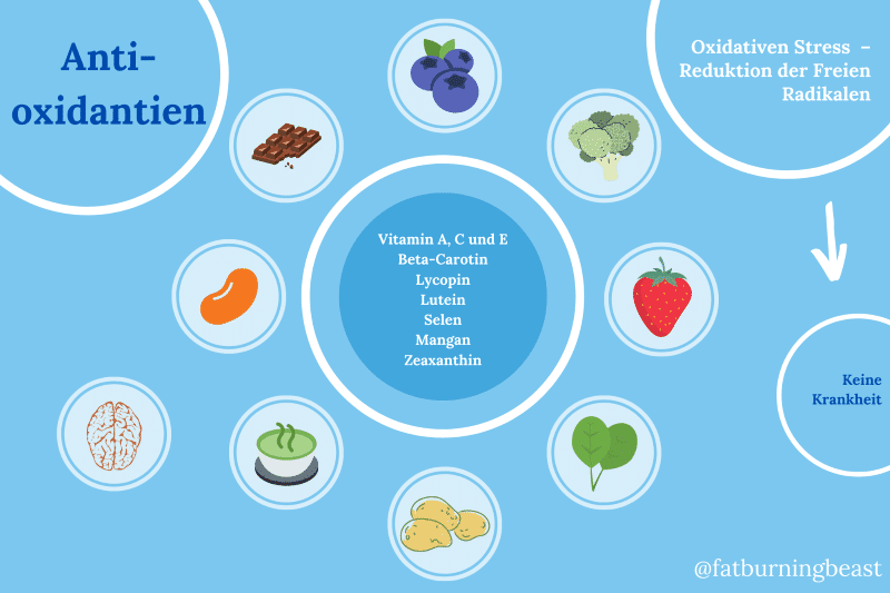 Antioxidantien Infografik