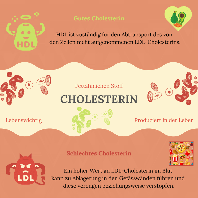 Cholesterin-Infografik