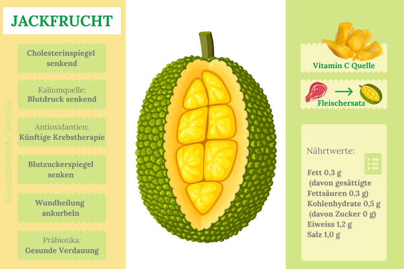 Jackfruit Infografik