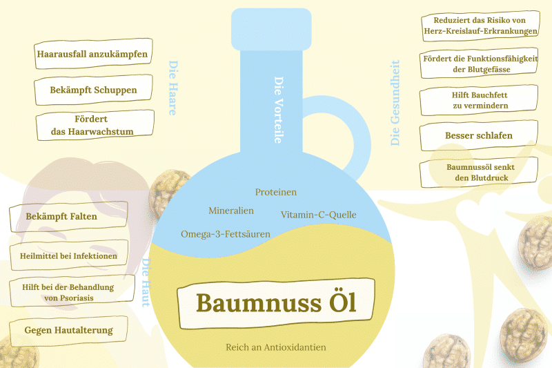 Baumnussöl-Infografik